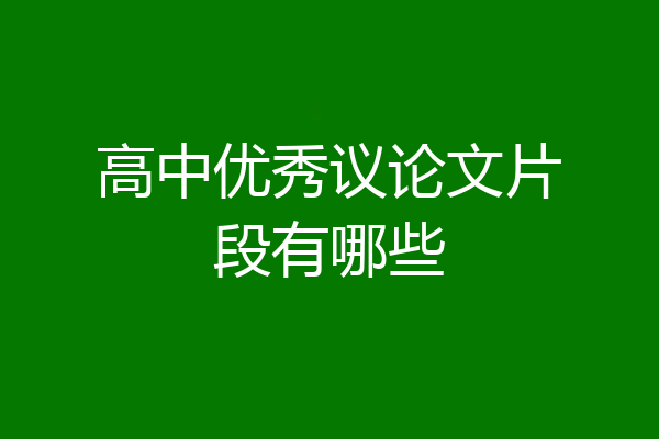 高中优秀议论文片段有哪些