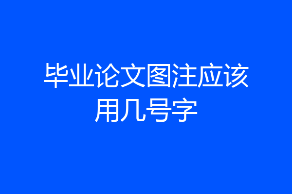 毕业论文图注应该用几号字