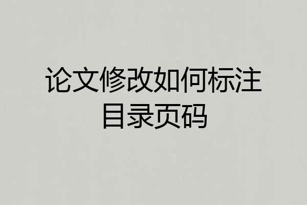 论文修改如何标注目录页码
