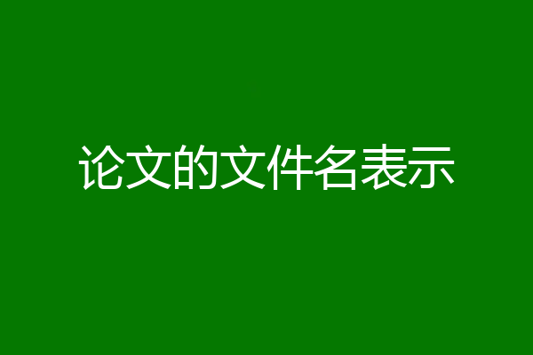 论文的文件名表示