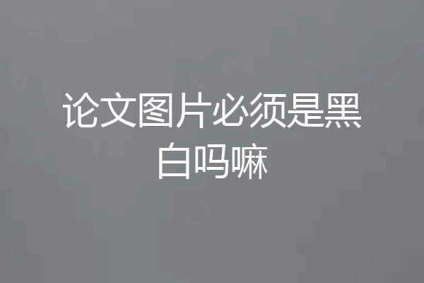 论文图片必须是黑白吗嘛