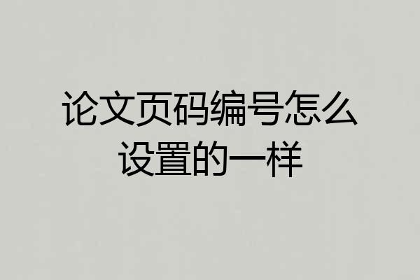 论文页码编号怎么设置的一样