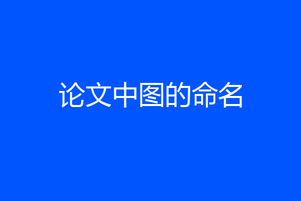论文中图的命名