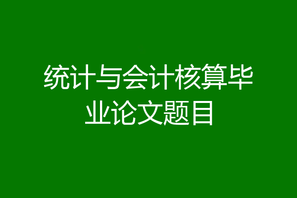 统计与会计核算毕业论文题目