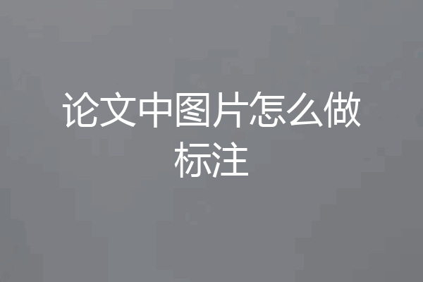 论文中图片怎么做标注