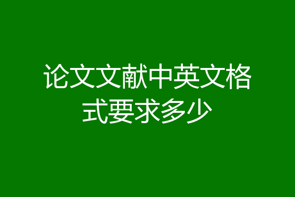 论文文献中英文格式要求多少