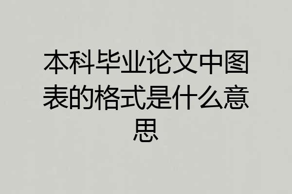 本科毕业论文中图表的格式是什么意思