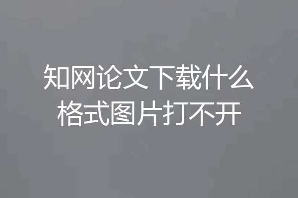 知网论文下载什么格式图片打不开
