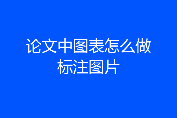 论文中图表怎么做标注图片