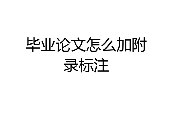 毕业论文怎么加附录标注