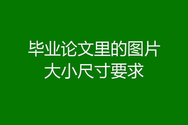 毕业论文里的图片大小尺寸要求