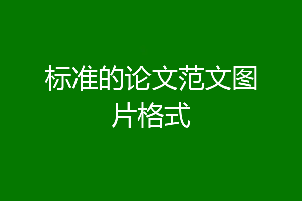 标准的论文范文图片格式