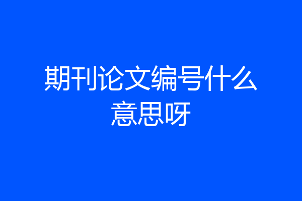 期刊论文编号什么意思呀