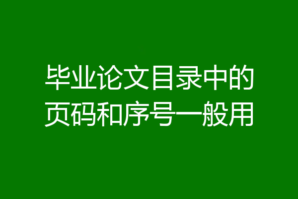 毕业论文目录中的页码和序号一般用