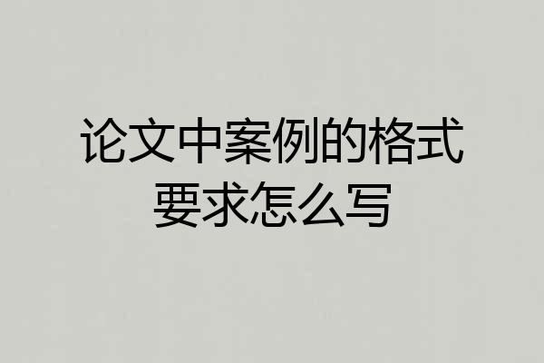 论文中案例的格式要求怎么写