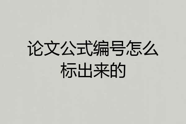 论文公式编号怎么标出来的