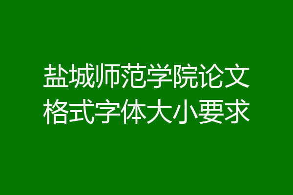 盐城师范学院论文格式字体大小要求