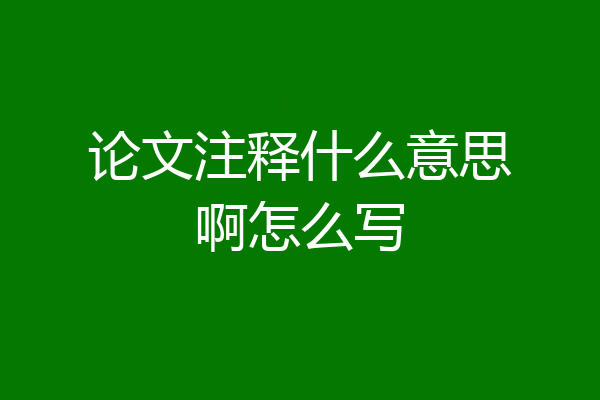 论文注释什么意思啊怎么写