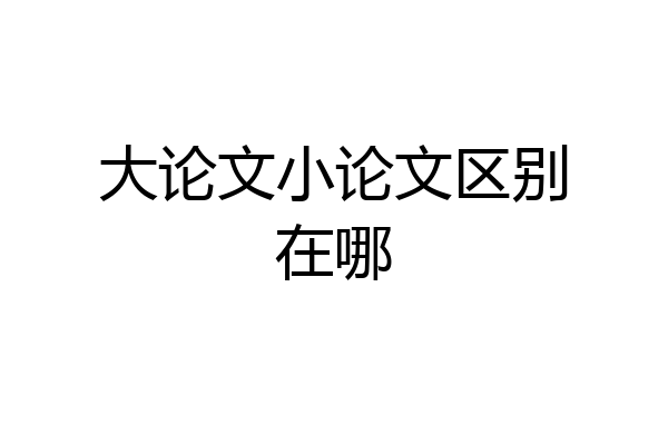 大论文小论文区别在哪