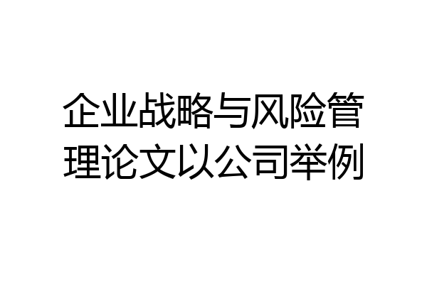 企业战略与风险管理论文以公司举例