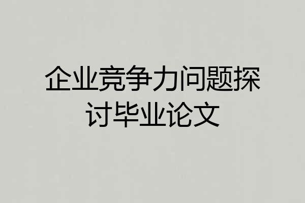 企业竞争力问题探讨毕业论文