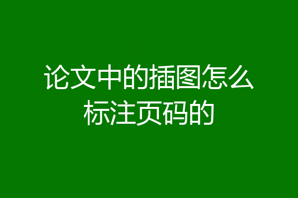论文中的插图怎么标注页码的