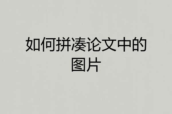 如何拼凑论文中的图片