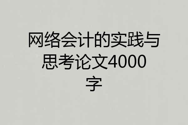 网络会计的实践与思考论文4000字