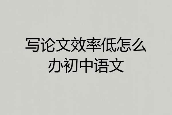 写论文效率低怎么办初中语文