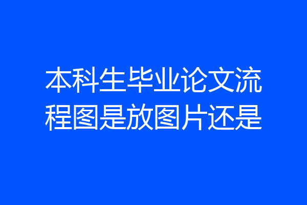 本科生毕业论文流程图是放图片还是