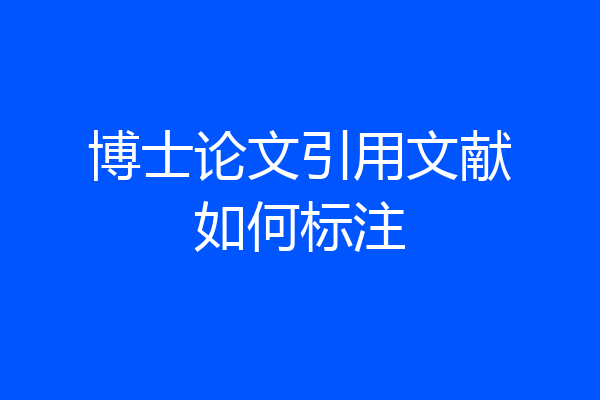 博士论文引用文献如何标注