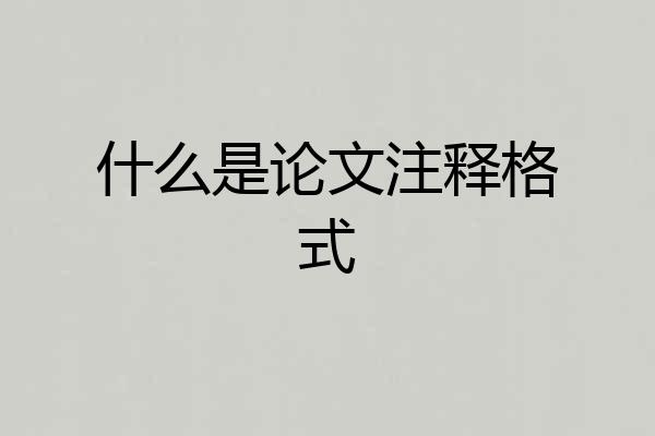 什么是论文注释格式