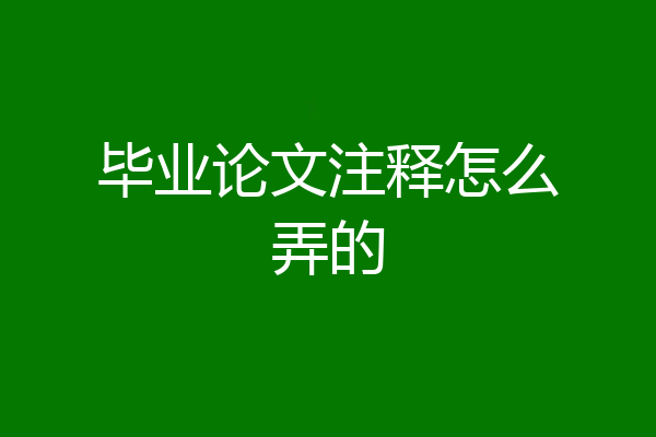 毕业论文注释怎么弄的