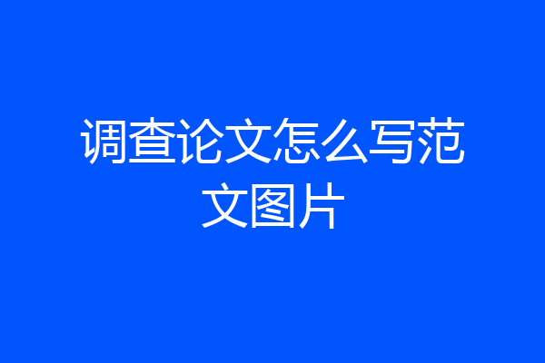 调查论文怎么写范文图片