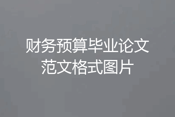 财务预算毕业论文范文格式图片
