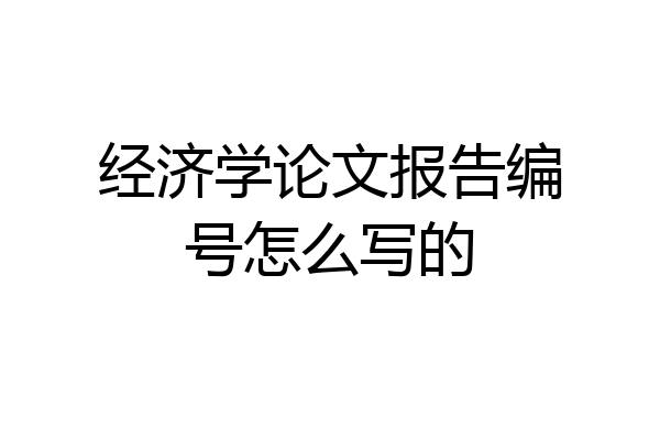 经济学论文报告编号怎么写的