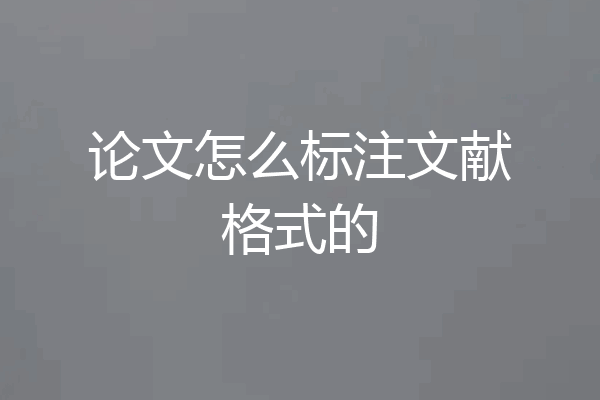 论文怎么标注文献格式的