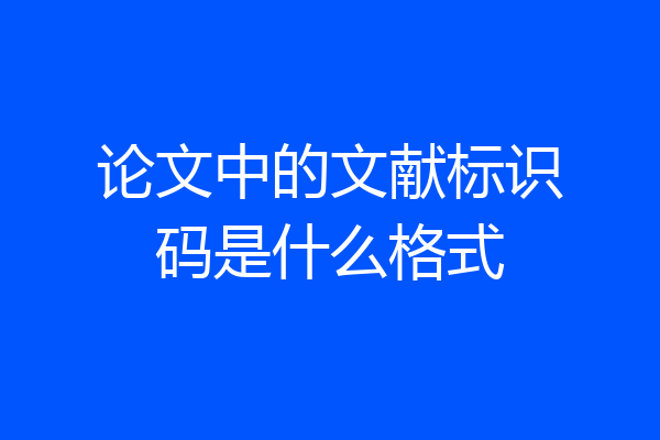 论文中的文献标识码是什么格式