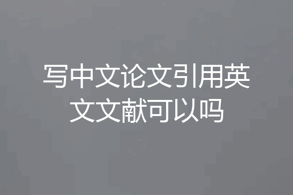 写中文论文引用英文文献可以吗