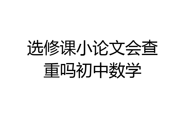 选修课小论文会查重吗初中数学