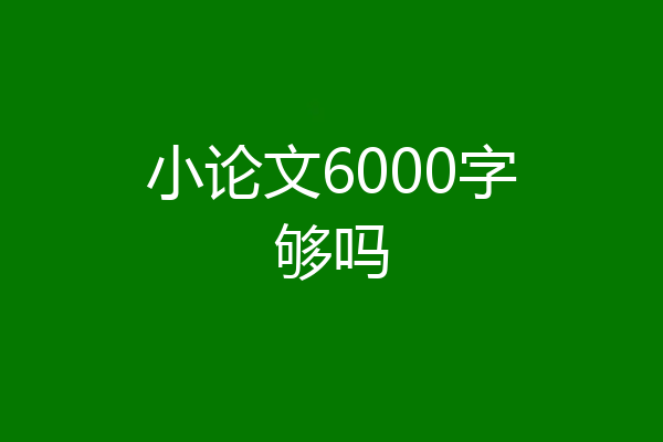 小论文6000字够吗