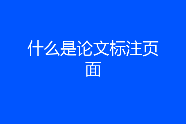 什么是论文标注页面
