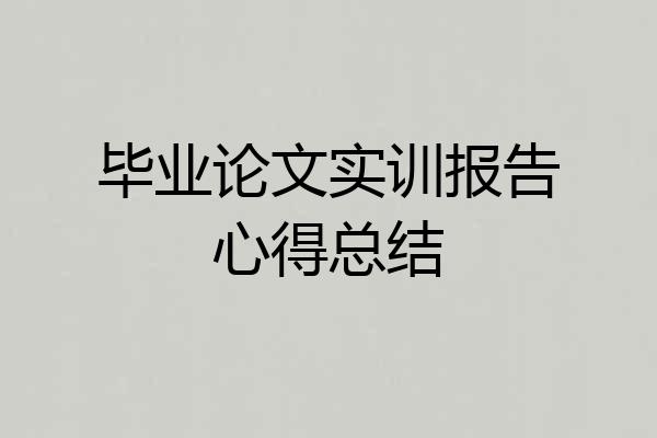 毕业论文实训报告心得总结