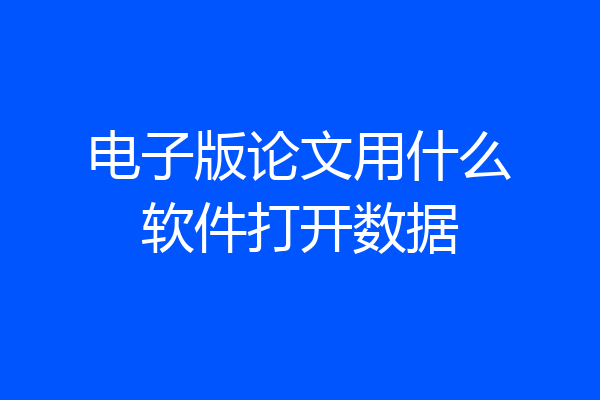 电子版论文用什么软件打开数据
