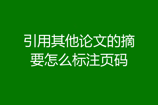 引用其他论文的摘要怎么标注页码