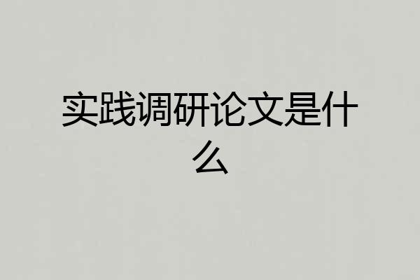 实践调研论文是什么
