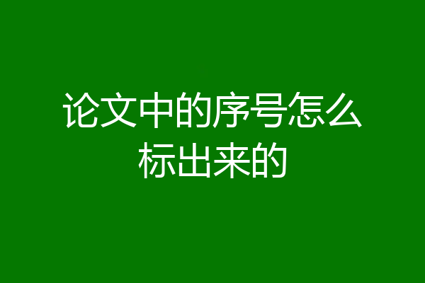 论文中的序号怎么标出来的