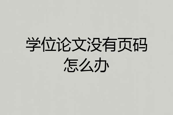 学位论文没有页码怎么办