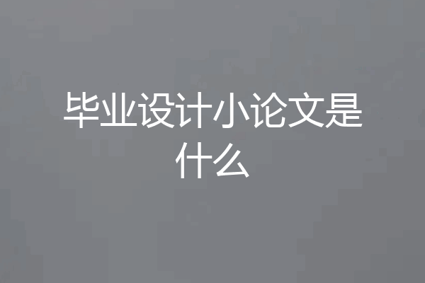 毕业设计小论文是什么