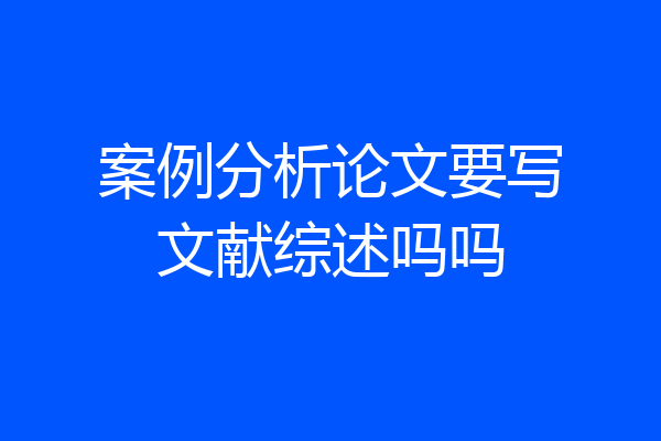 案例分析论文要写文献综述吗吗
